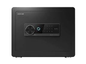Green Lion Digital Safe Box with Fingerprint Lock 