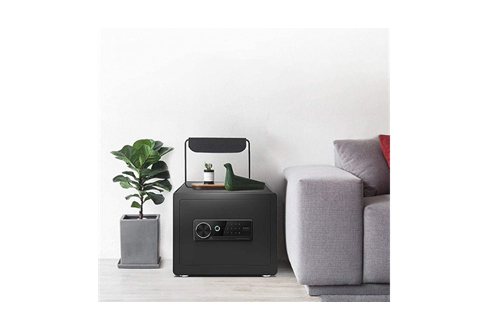 Green Lion Digital Safe Box with Fingerprint Lock 