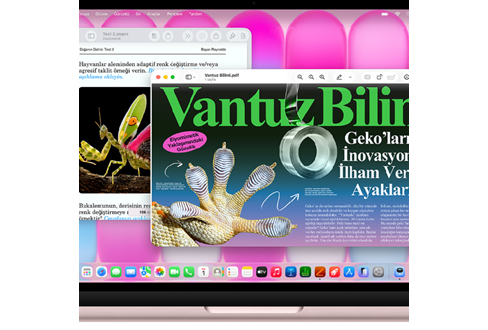MacBook Neo 13inç 256GB 8GB RAM