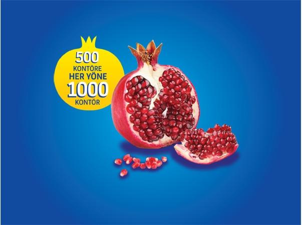 Aylık 1000 Nar Paketi Aylık 1000 Nar Paketi