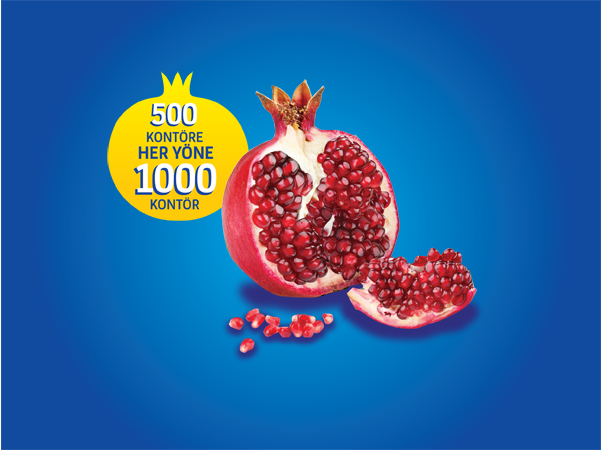 Aylık 1000 Nar Paketi Aylık 1000 Nar Paketi